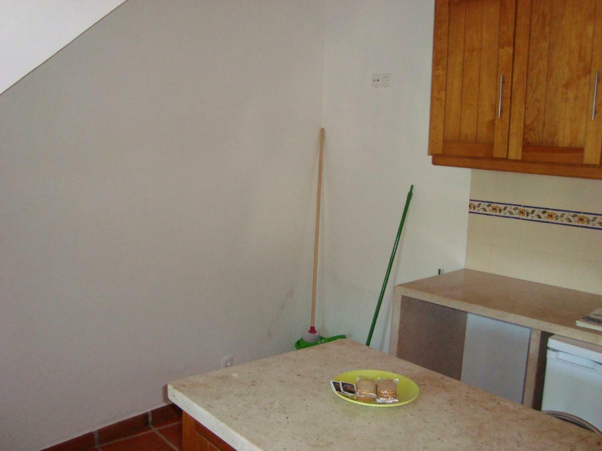 Ferienwohnung Casa Do Tejo Constância Exterior foto