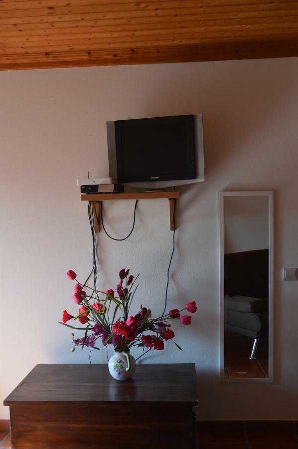 Ferienwohnung Casa Do Tejo Constância Exterior foto